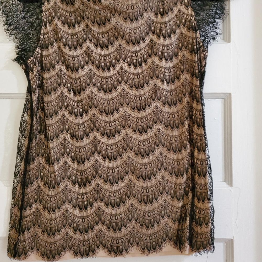 Beautiful shell top - Picture 2 of 2